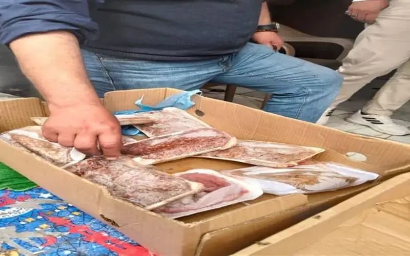 اعرف حقوقك.. وسائل الإبلاغ عن السلع واللحوم المغشوشة والفاسدة